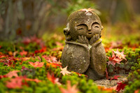 2023 Fall Colors in Kyoto 20231121-24 / 京都の紅葉