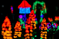Garden d'Lights at Bellevue Botanical Garden 20231221 / ベルビュー植物園のガーデンデライト