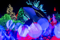 Tulalip Lights 2024.12.29 / ツララップの電飾